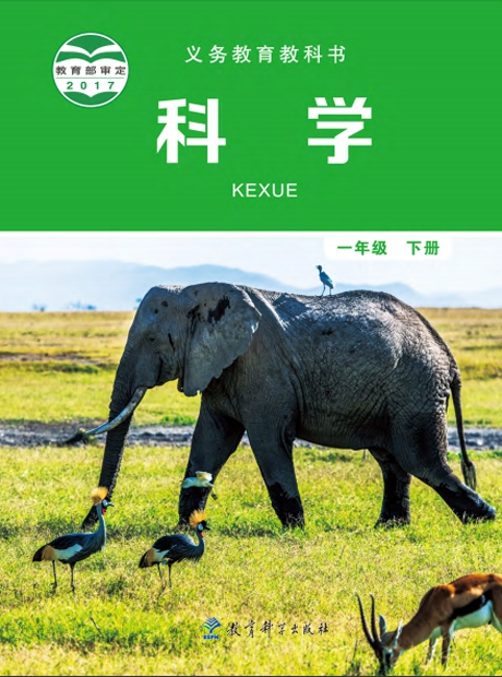 同步实验一年级下
