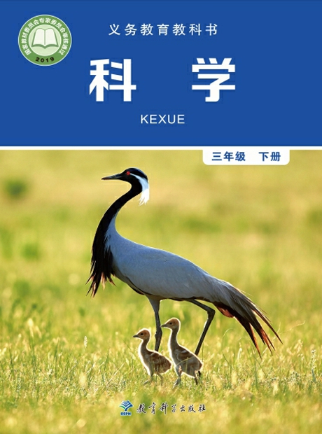 同步实验三年级下