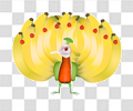 孔雀