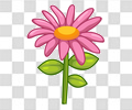 花
