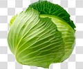 白菜
