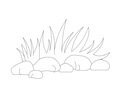 草丛