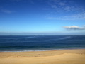<i><strong>大海</strong></i>
