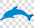 海豚