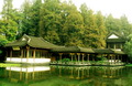 风景