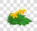 蝴蝶花