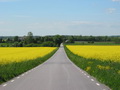 公路