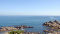 大海