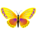 蜜蜂