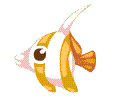 鱼