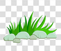 小草