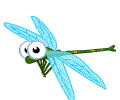 蜻蜓