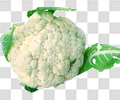 菜花