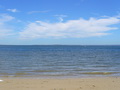 大海