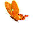 蝴蝶