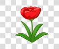 花