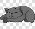 黑猫