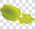 杨桃