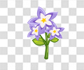 花