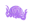 水母