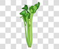 芹菜