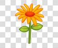 花
