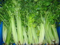 芹菜