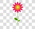 花