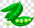 豌豆