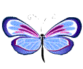 蝴蝶