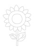 向日葵