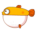 鱼
