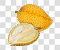 榴莲
