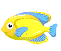 鱼