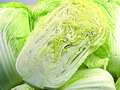 大白菜