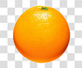 橙子
