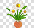 水仙花