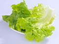 生菜